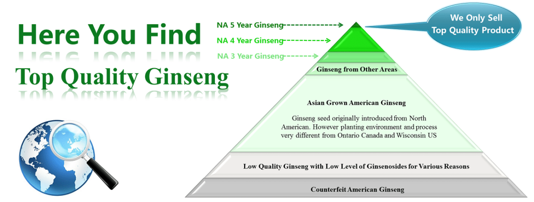 Canadian Ginseng Farm