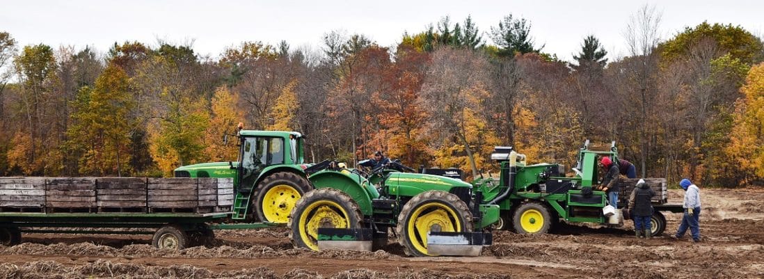 Canadian Ginseng Farm